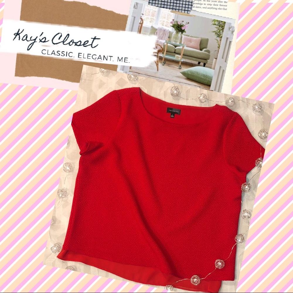 The Limited | Red Pebbled Party Blouse